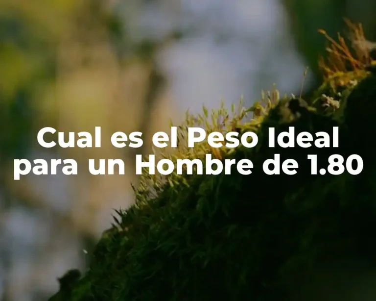 Cual es el Peso Ideal para un Hombre de 1.80