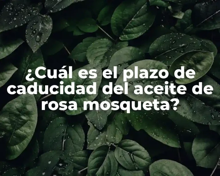 ¿Cuál es el plazo de caducidad del aceite de rosa mosqueta?
