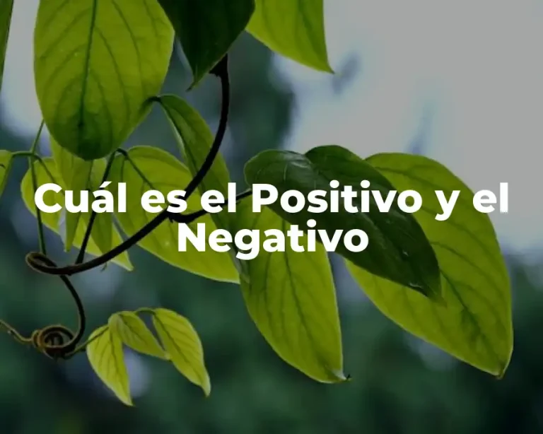 Cuál es el Positivo y el Negativo