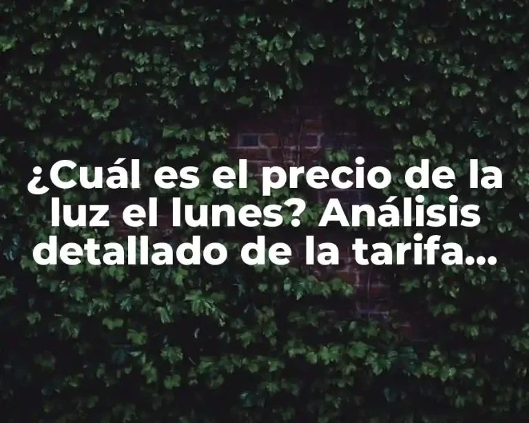 ¿Cuál es el precio de la luz el lunes? Análisis detallado de la tarifa eléctrica diaria