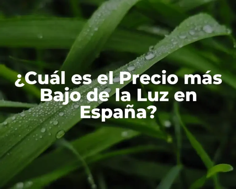 ¿Cuál es el Precio más Bajo de la Luz en España?