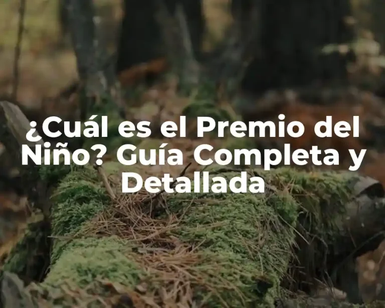 ¿Cuál es el Premio del Niño? Guía Completa y Detallada