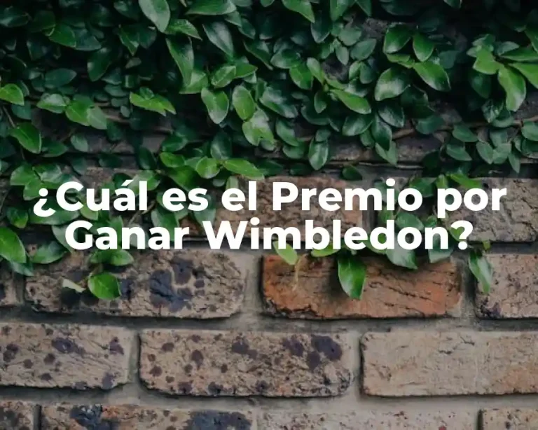 ¿Cuál es el Premio por Ganar Wimbledon?