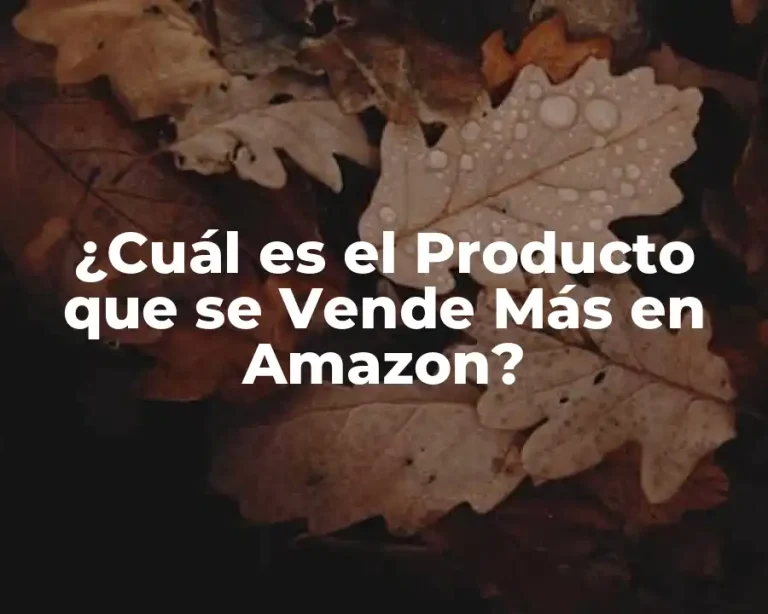 ¿Cuál es el Producto que se Vende Más en Amazon?