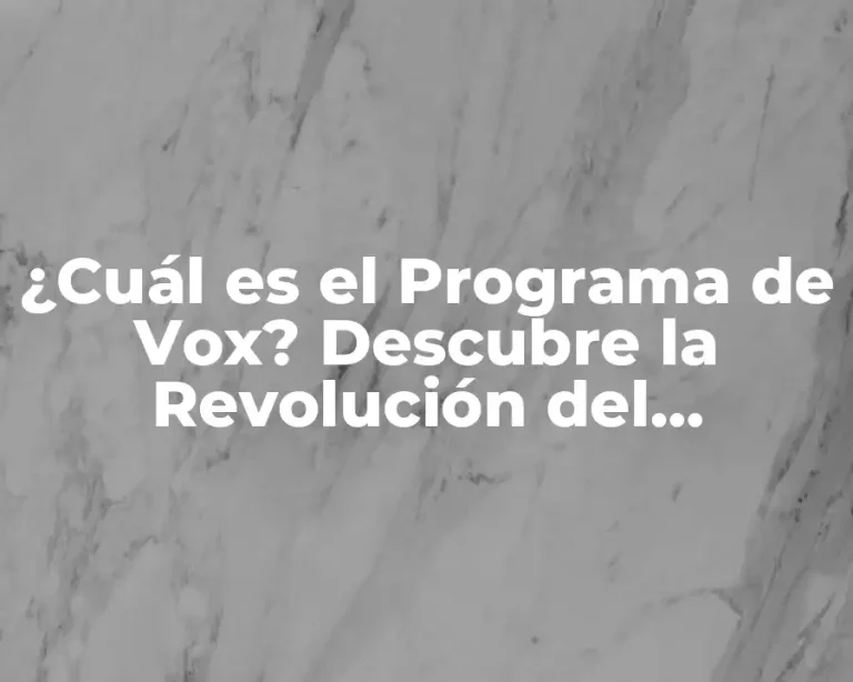 ¿Cuál es el Programa de Vox? Descubre la Revolución del Aprendizaje en Línea