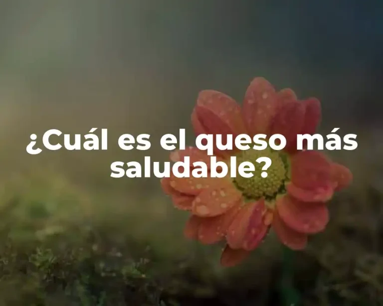 ¿Cuál es el queso más saludable?