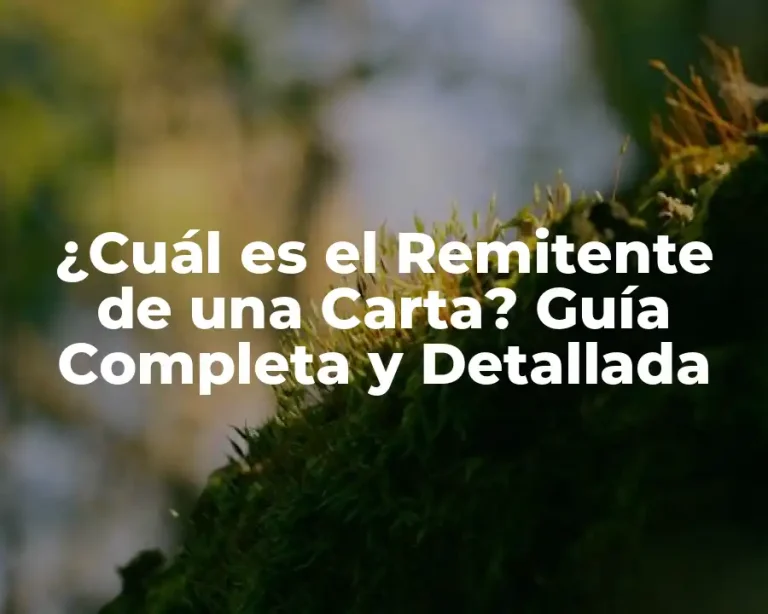 ¿Cuál es el Remitente de una Carta? Guía Completa y Detallada
