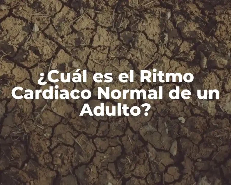 ¿Cuál es el Ritmo Cardiaco Normal de un Adulto?