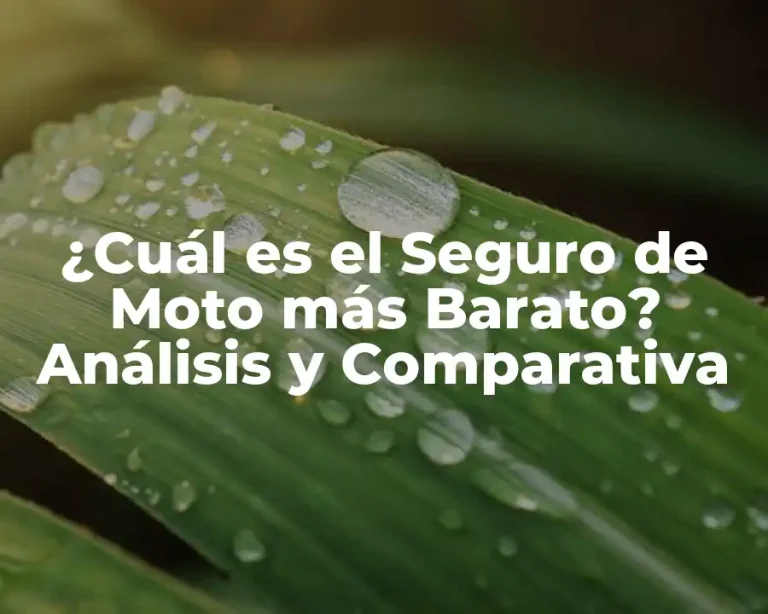 ¿Cuál es el Seguro de Moto más Barato? Análisis y Comparativa