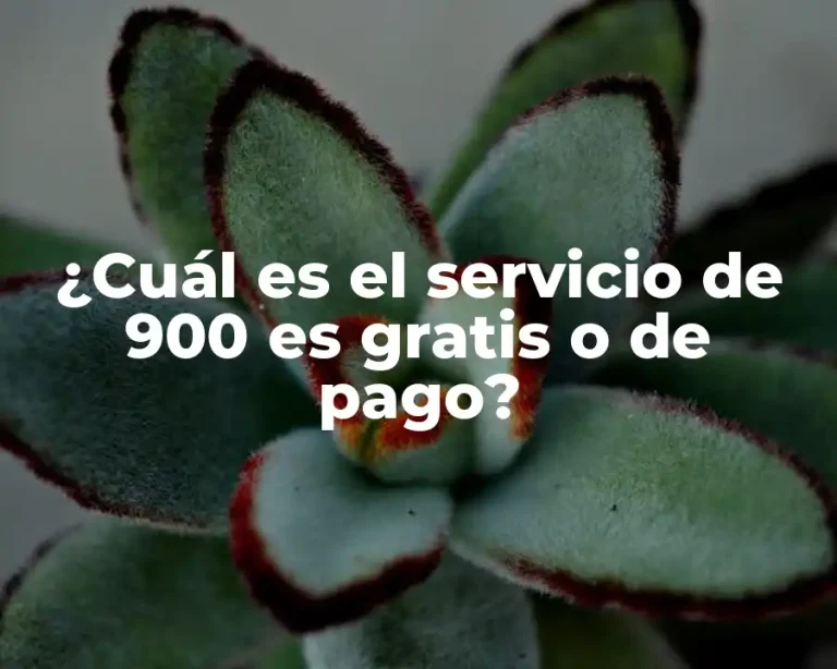 ¿Cuál es el servicio de 900 es gratis o de pago?