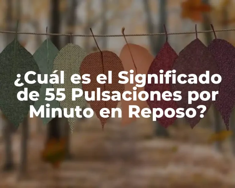 ¿Cuál es el Significado de 55 Pulsaciones por Minuto en Reposo?