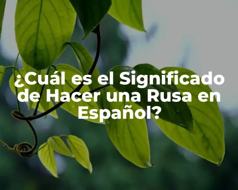 ¿Cuál es el Significado de Hacer una Rusa en Español?