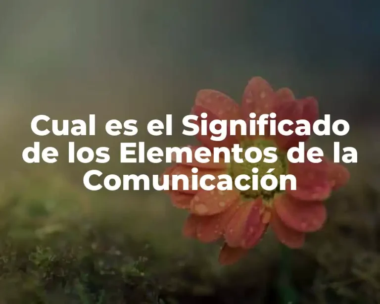 Cual es el Significado de los Elementos de la Comunicación