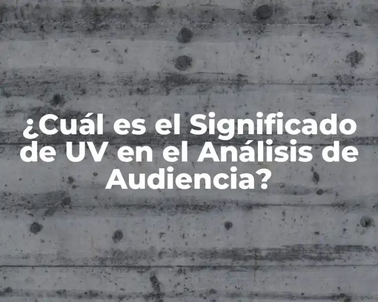 ¿Cuál es el Significado de UV en el Análisis de Audiencia?