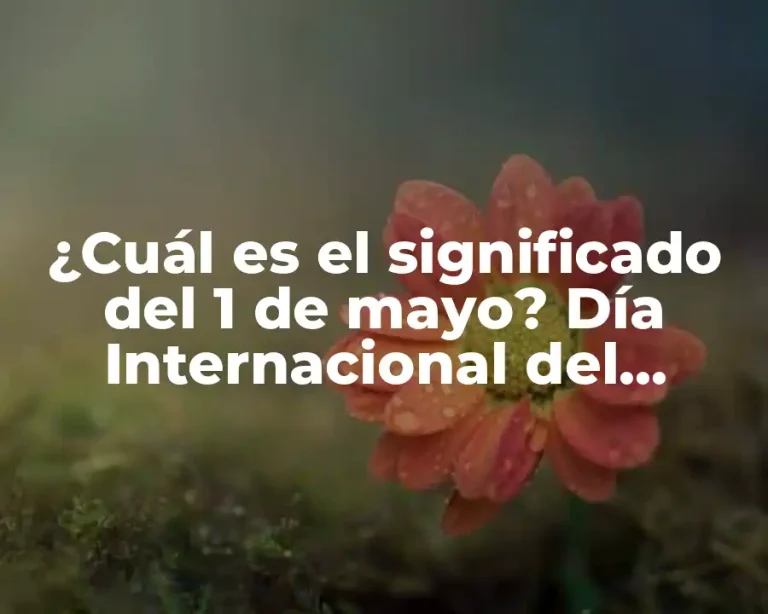 ¿Cuál es el significado del 1 de mayo? Día Internacional del Trabajador