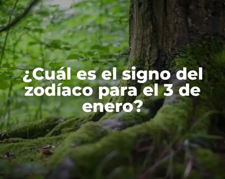 ¿Cuál es el signo del zodíaco para el 3 de enero?