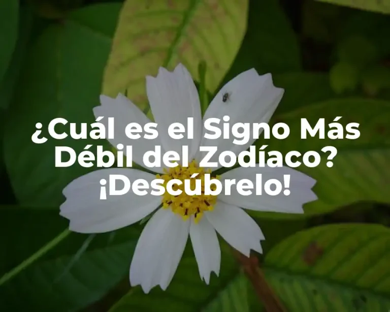 ¿Cuál es el Signo Más Débil del Zodíaco? ¡Descúbrelo!