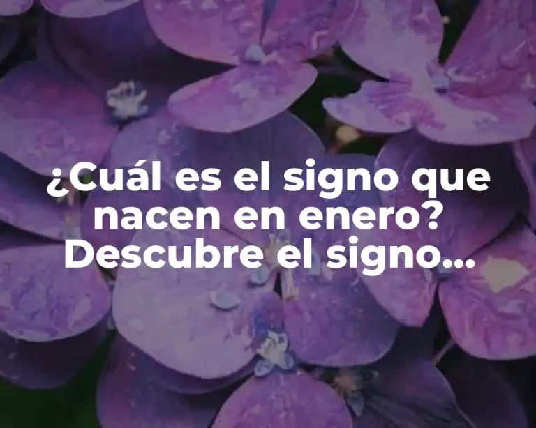 ¿Cuál es el signo que nacen en enero? Descubre el signo zodiacal de enero