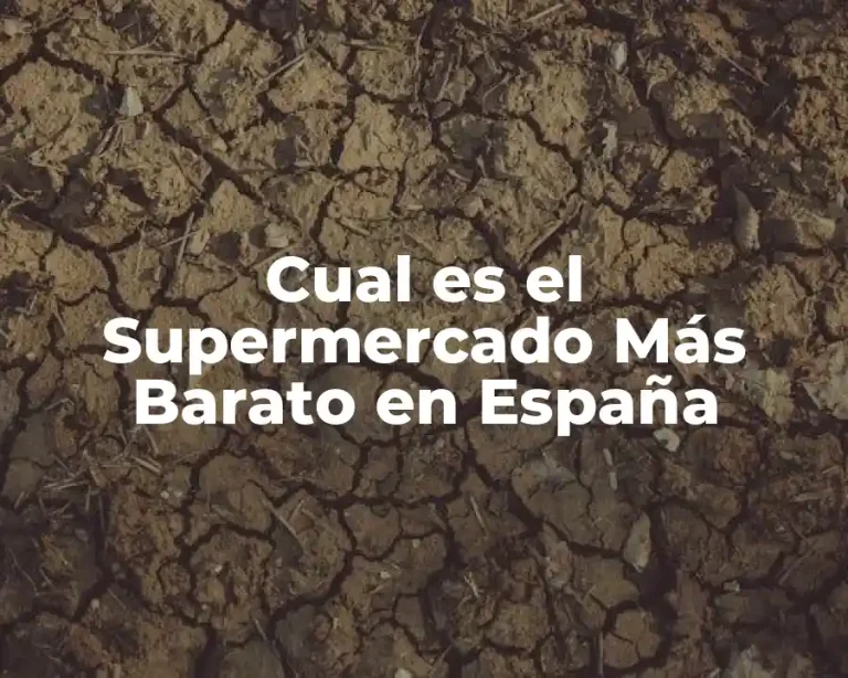 Cual es el Supermercado Más Barato en España