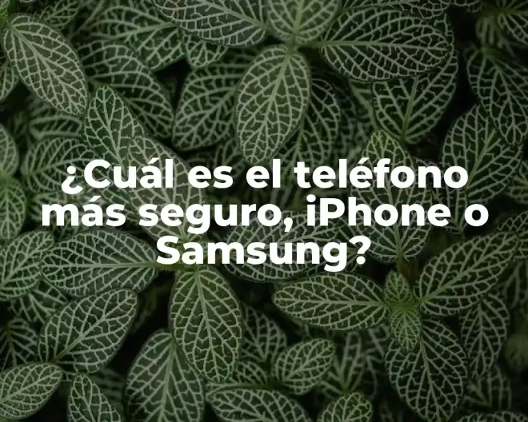 ¿Cuál es el teléfono más seguro, iPhone o Samsung?