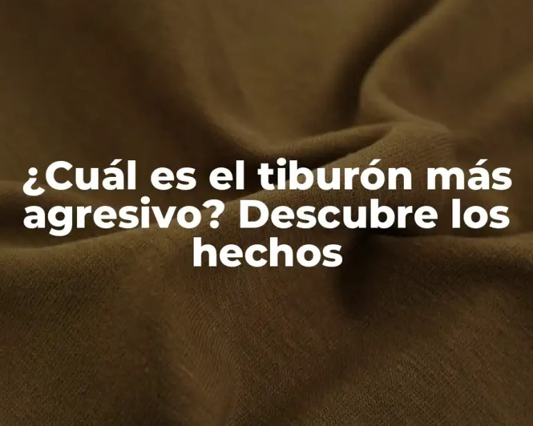 ¿Cuál es el tiburón más agresivo? Descubre los hechos