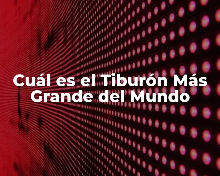 Cuál es el Tiburón Más Grande del Mundo