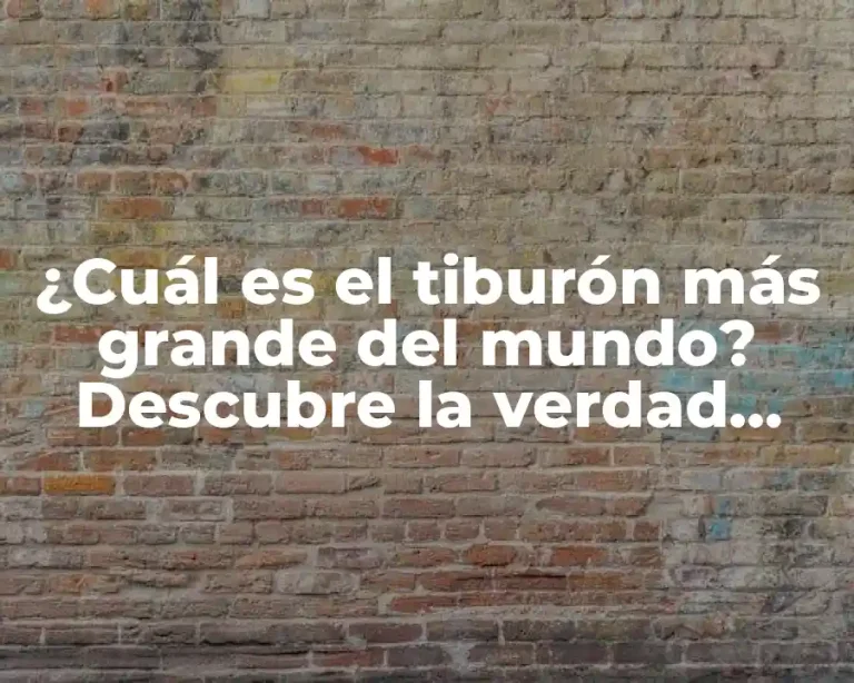 ¿Cuál es el tiburón más grande del mundo? Descubre la verdad sobre el rey de los mares
