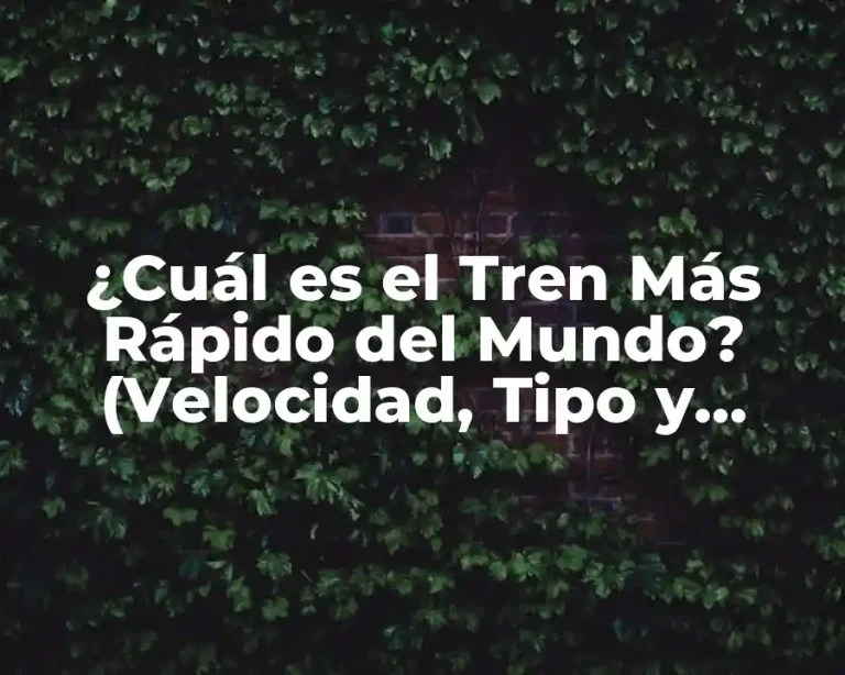 ¿Cuál es el Tren Más Rápido del Mundo? (Velocidad, Tipo y Récords)