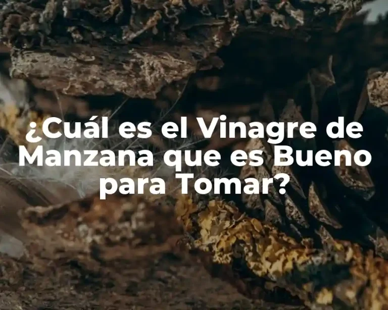 ¿Cuál es el Vinagre de Manzana que es Bueno para Tomar?