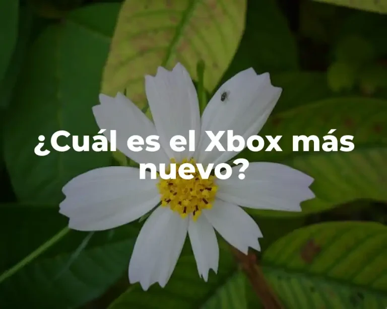 ¿Cuál es el Xbox más nuevo?