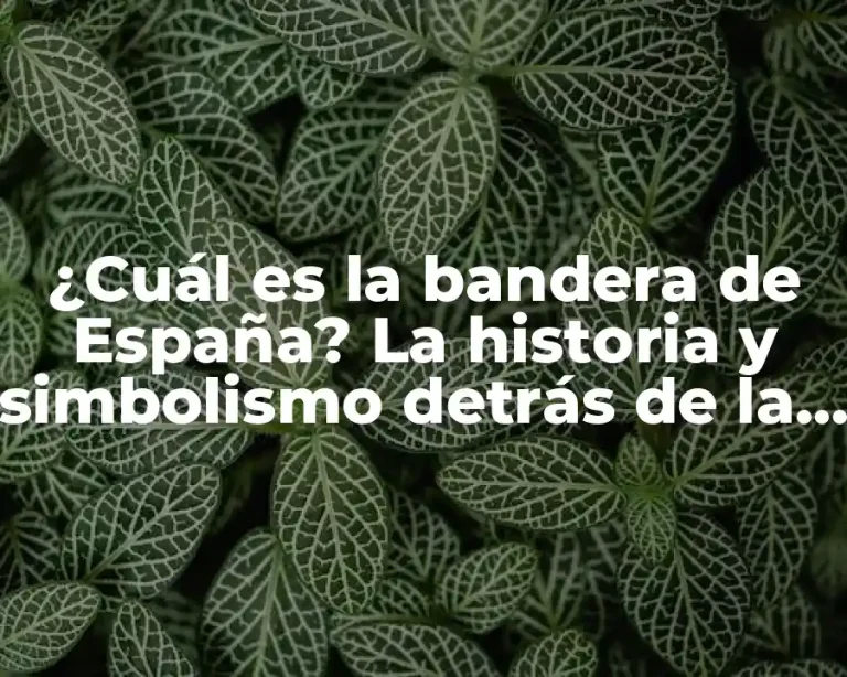 ¿Cuál es la bandera de España? La historia y simbolismo detrás de la Rojigualda