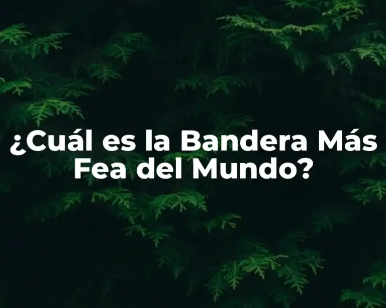 ¿Cuál es la Bandera Más Fea del Mundo?