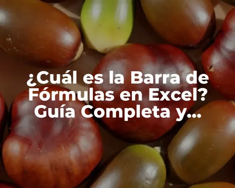 ¿Cuál es la Barra de Fórmulas en Excel? Guía Completa y Detallada