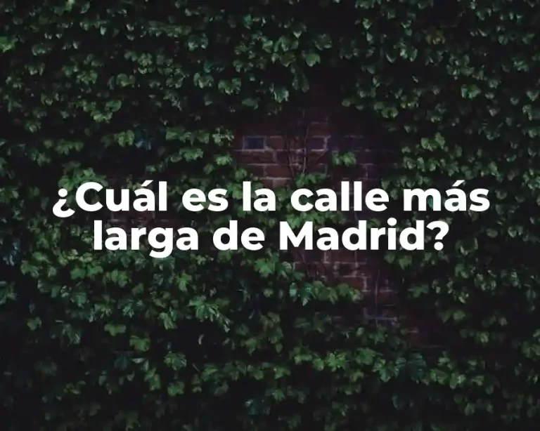 ¿Cuál es la calle más larga de Madrid?