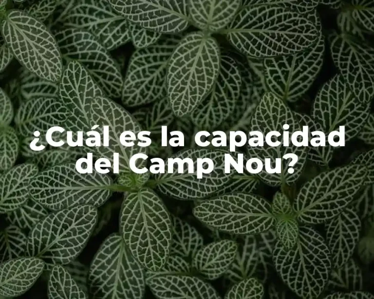 ¿Cuál es la capacidad del Camp Nou?