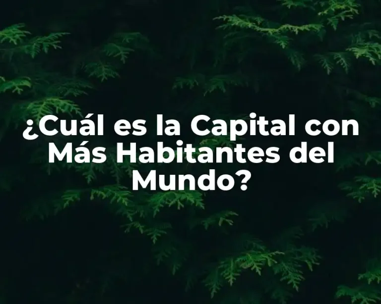 ¿Cuál es la Capital con Más Habitantes del Mundo?