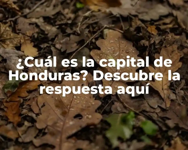 ¿Cuál es la capital de Honduras? Descubre la respuesta aquí