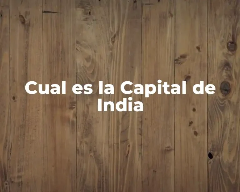 Cual es la Capital de India