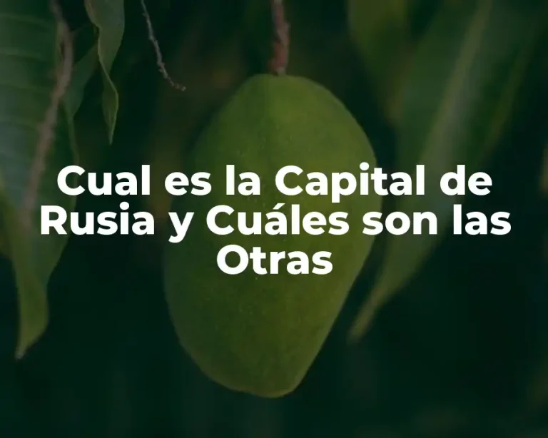 Cual es la Capital de Rusia y Cuáles son las Otras