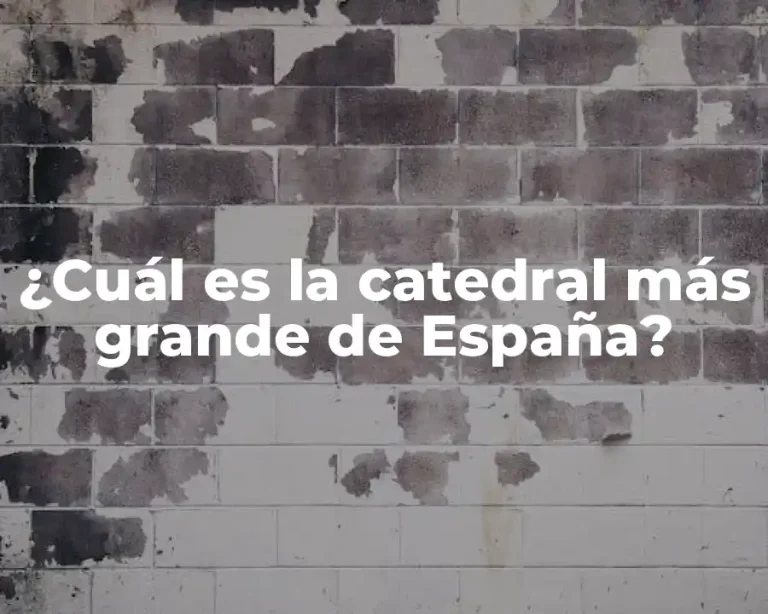 ¿Cuál es la catedral más grande de España?