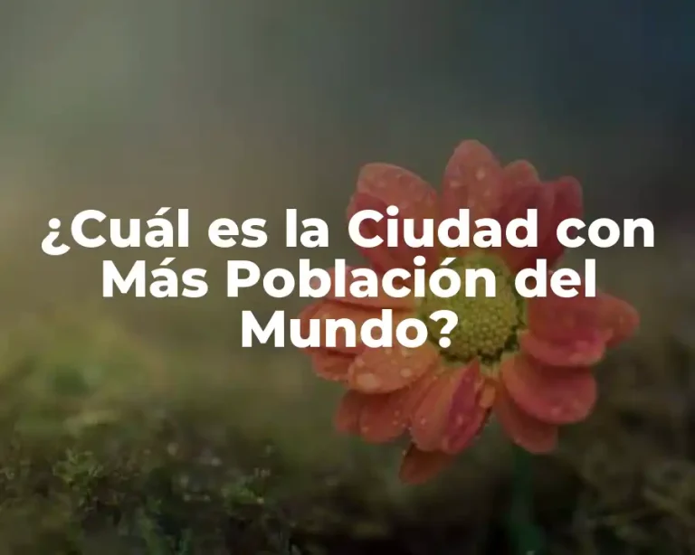 ¿Cuál es la Ciudad con Más Población del Mundo?