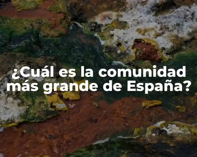 ¿Cuál es la comunidad más grande de España?