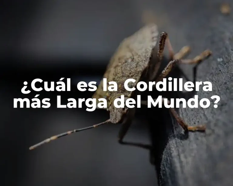 ¿Cuál es la Cordillera más Larga del Mundo?
