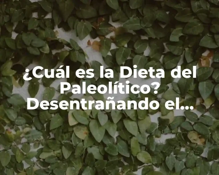 ¿Cuál es la Dieta del Paleolítico? Desentrañando el Secreto de la Alimentación Primitiva