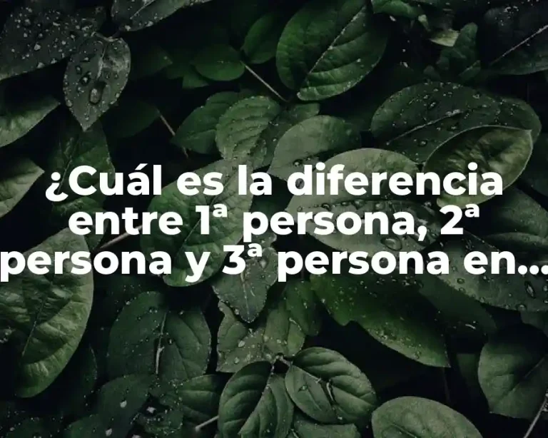 ¿Cuál es la diferencia entre 1ª persona, 2ª persona y 3ª persona en escritura?