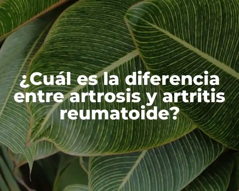 ¿Cuál es la diferencia entre artrosis y artritis reumatoide?