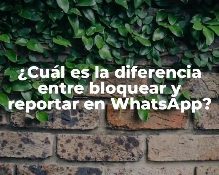 ¿Cuál es la diferencia entre bloquear y reportar en WhatsApp?