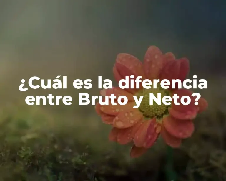 ¿Cuál es la diferencia entre Bruto y Neto?
