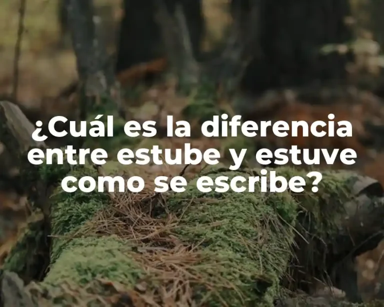 ¿Cuál es la diferencia entre estube y estuve como se escribe?