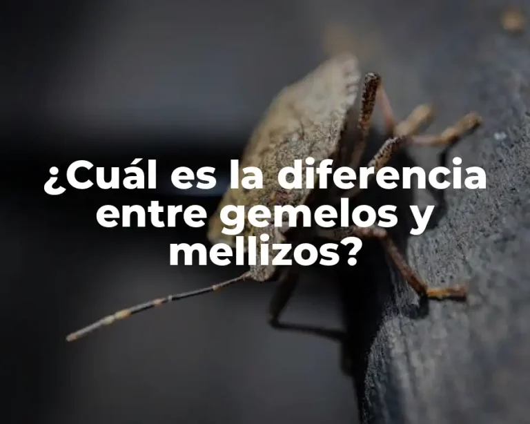 ¿Cuál es la diferencia entre gemelos y mellizos?